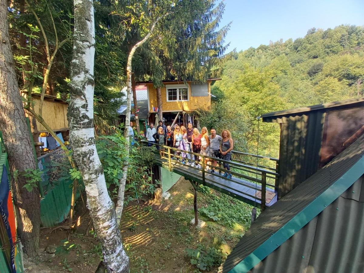 Tree House Lägenhet Visoko Exteriör bild