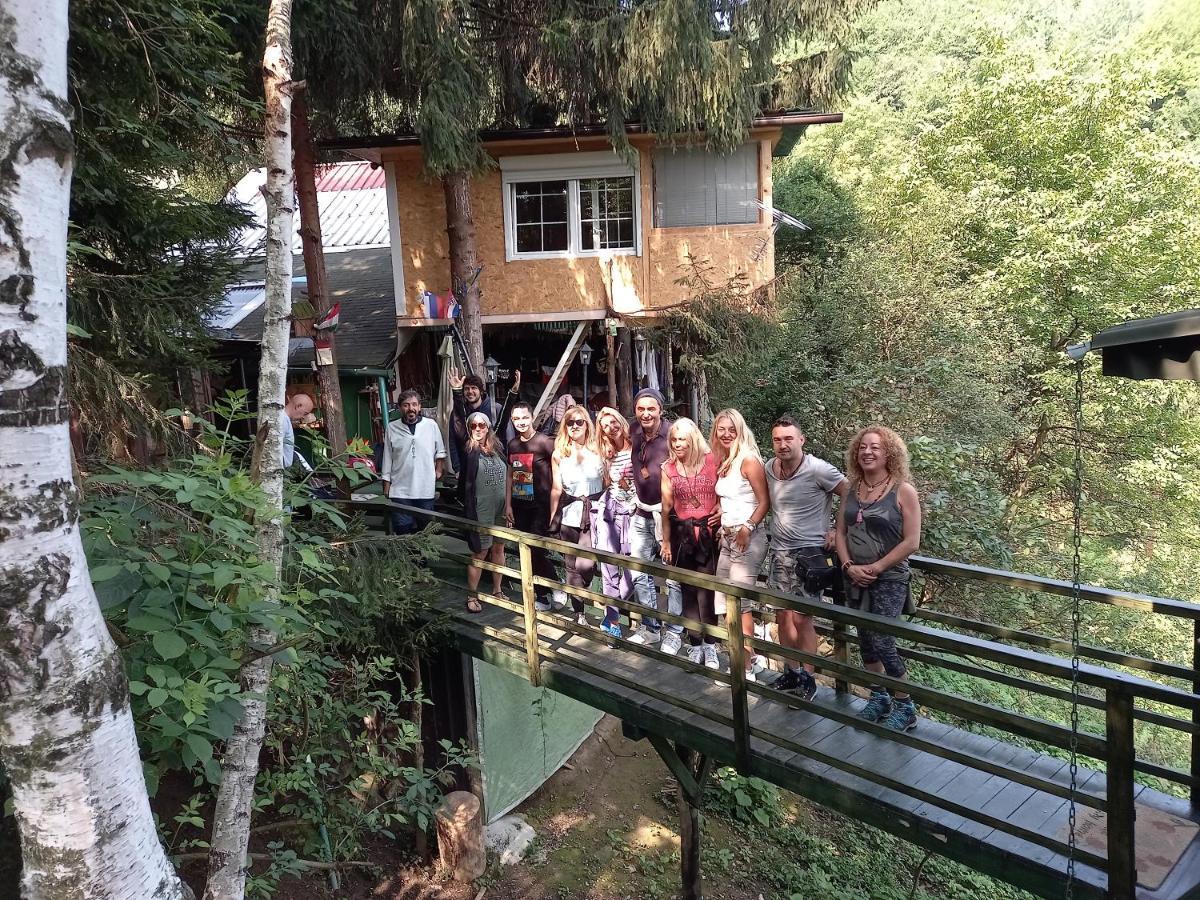Tree House Lägenhet Visoko Exteriör bild