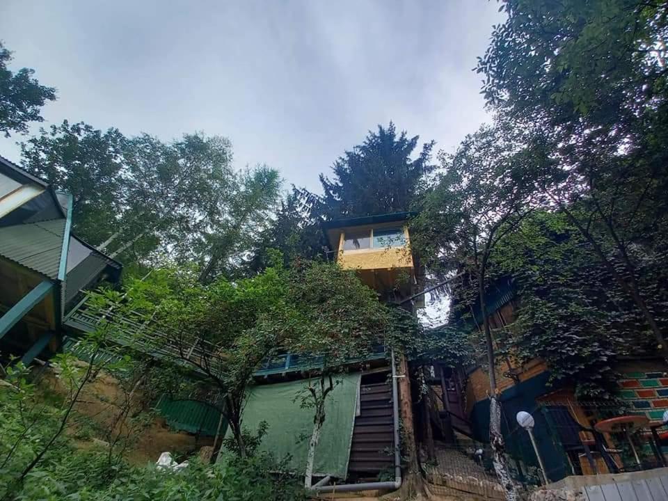Tree House Lägenhet Visoko Exteriör bild